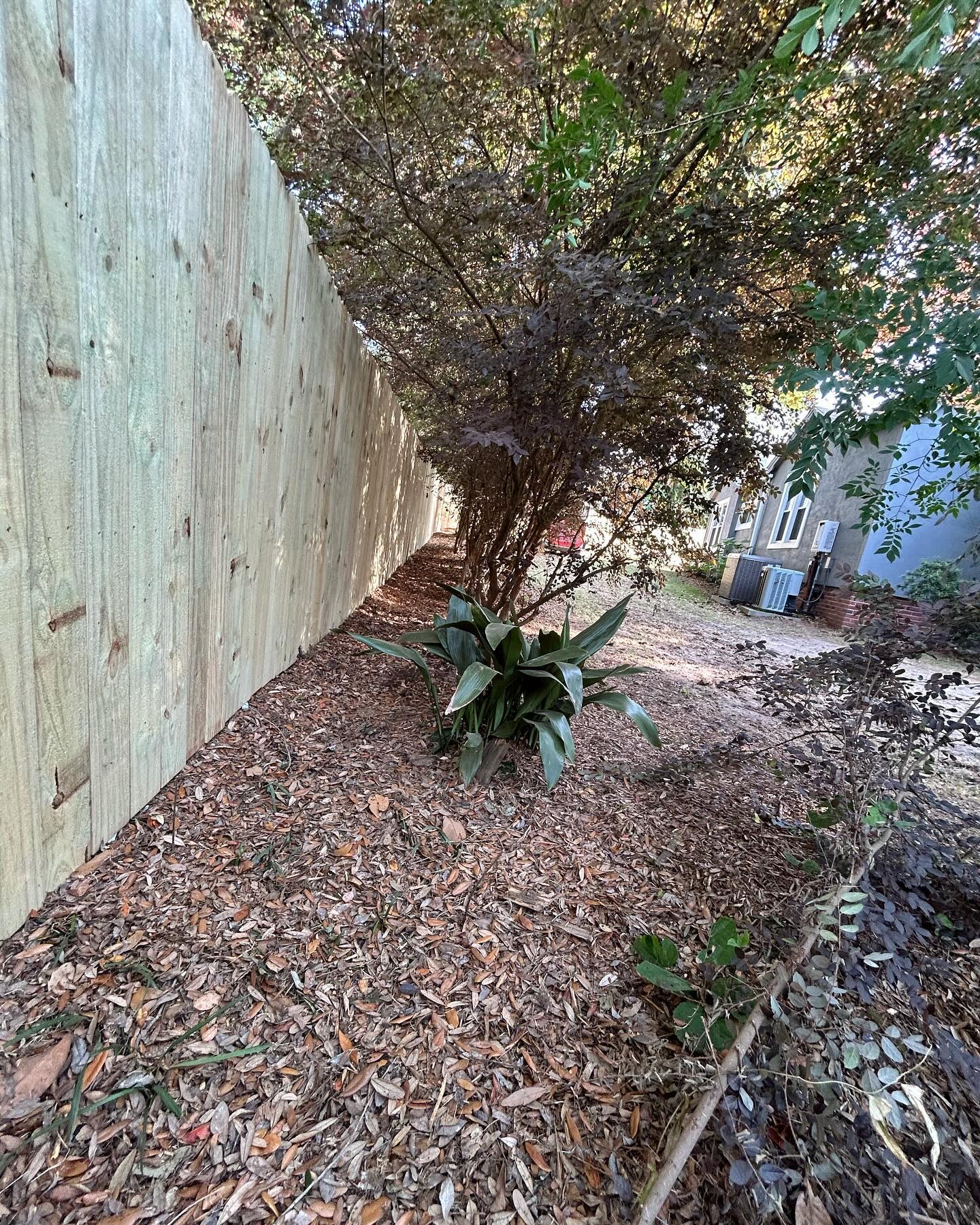 New wood privacy fence along a backyard