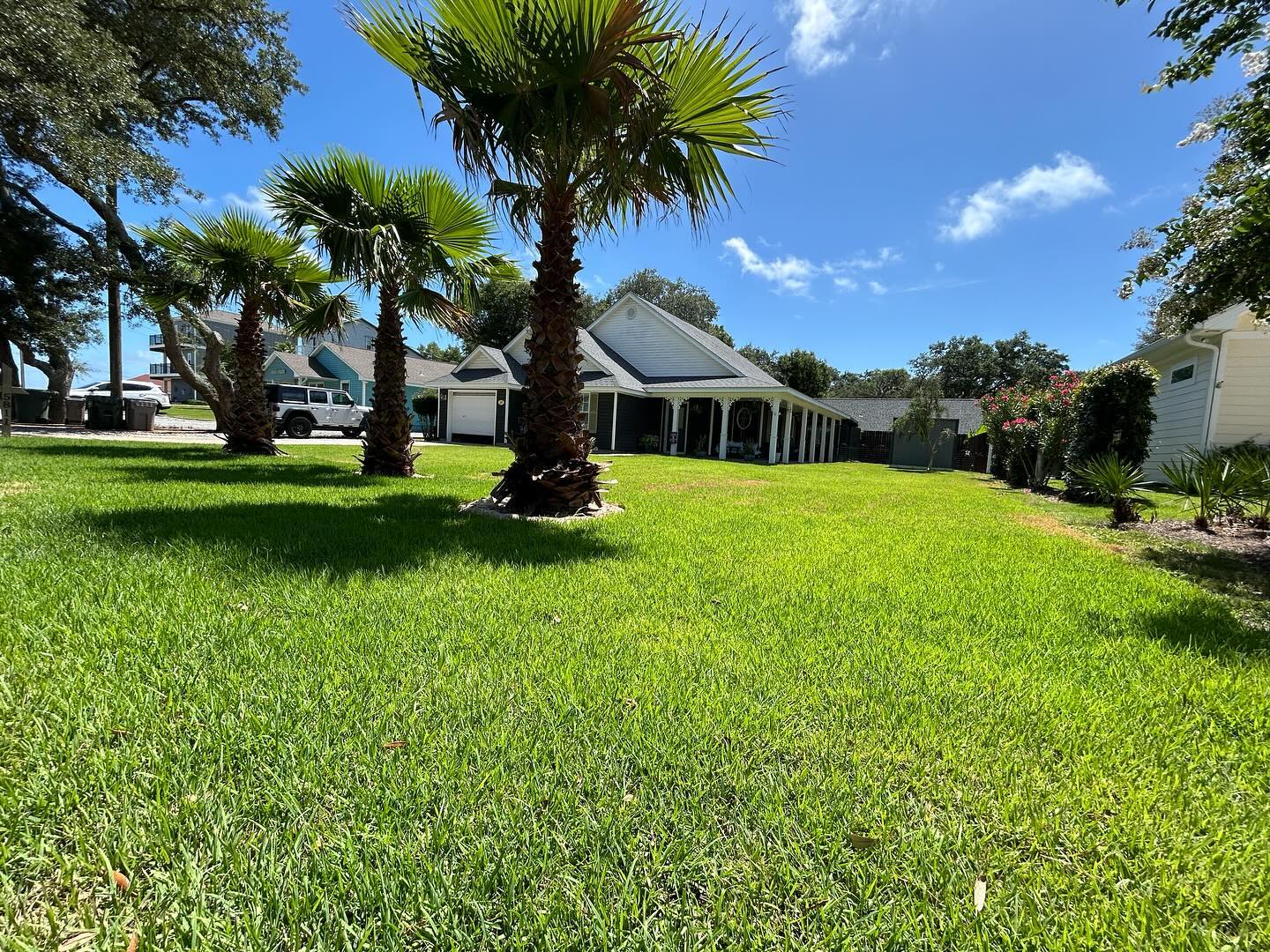 Lush green lawn maintained by JC Landscaping