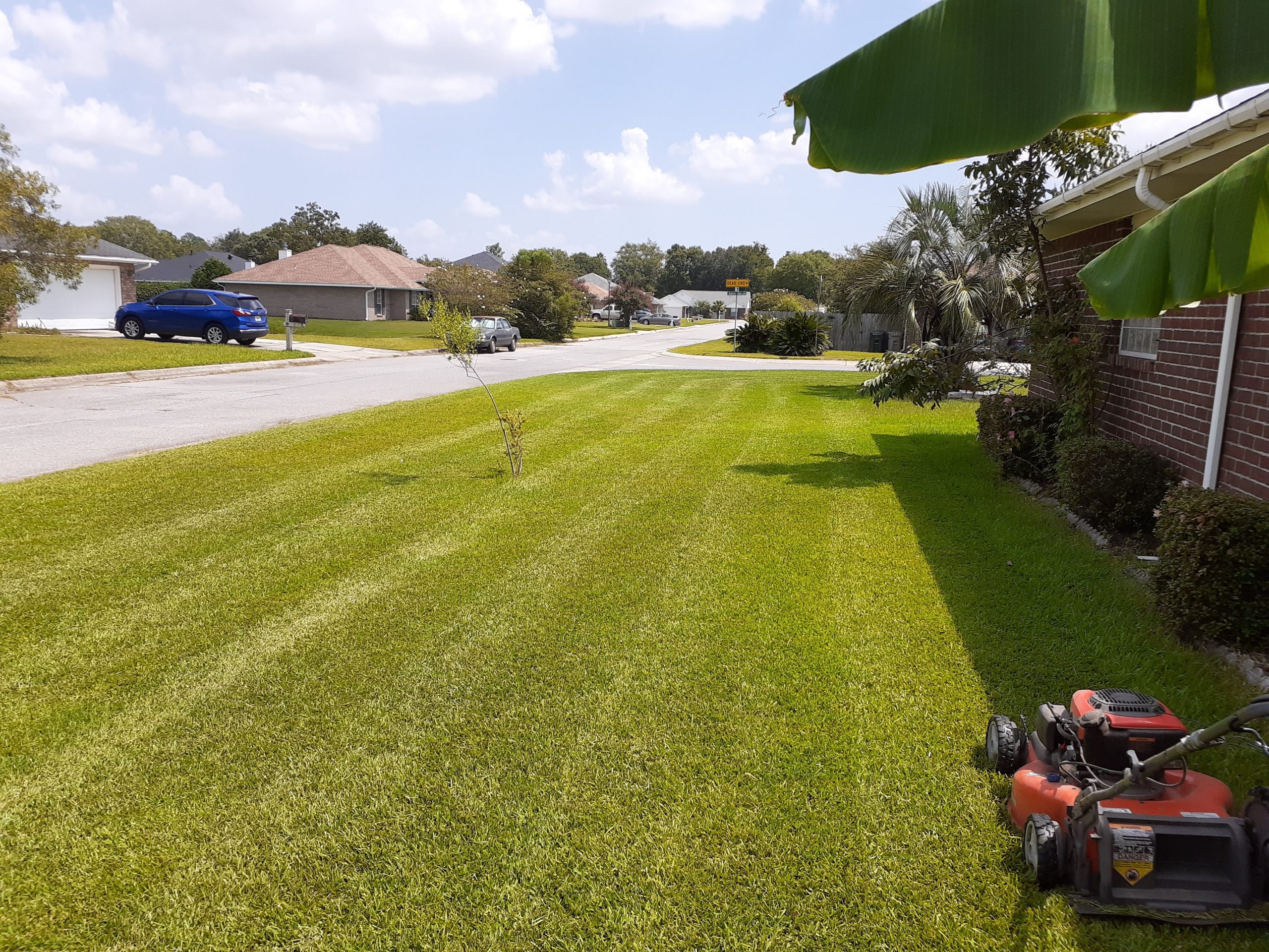 Lawn installation in Pensacola