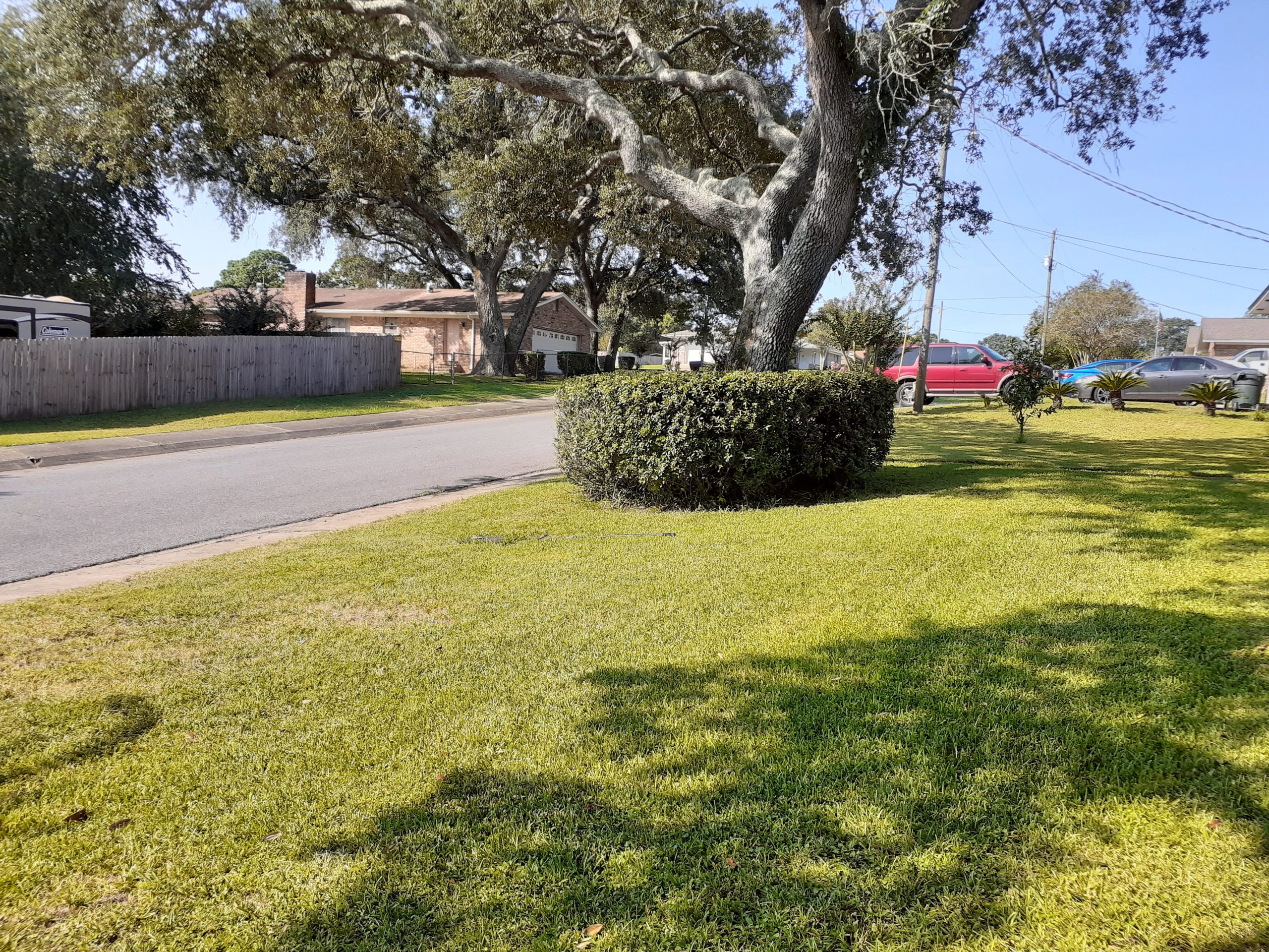 Hedge trimming in Pensacola Fl