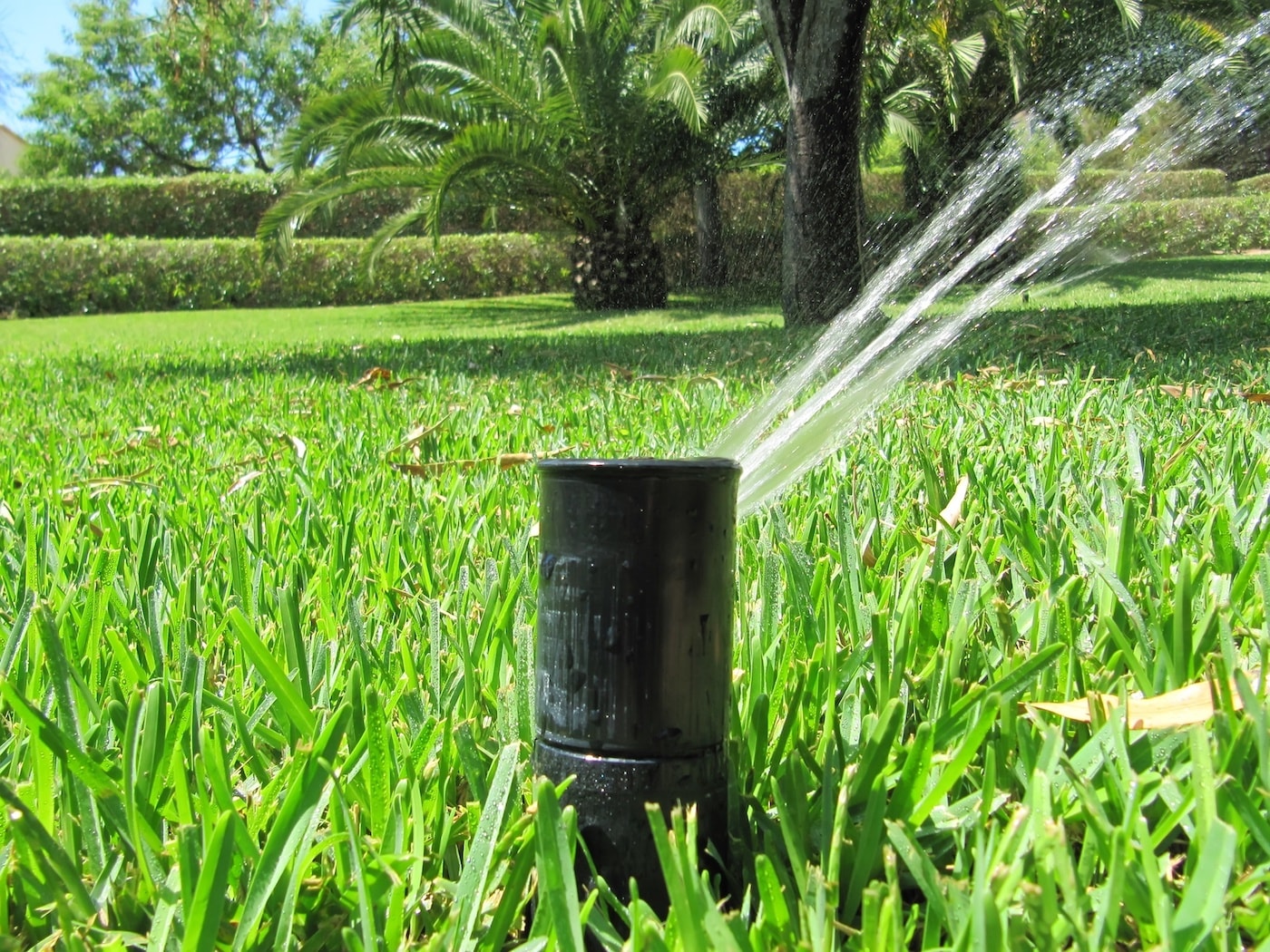 sprinkler-and-irrigation-services-and-installation-in-pensacola-fl-jc-landscaping